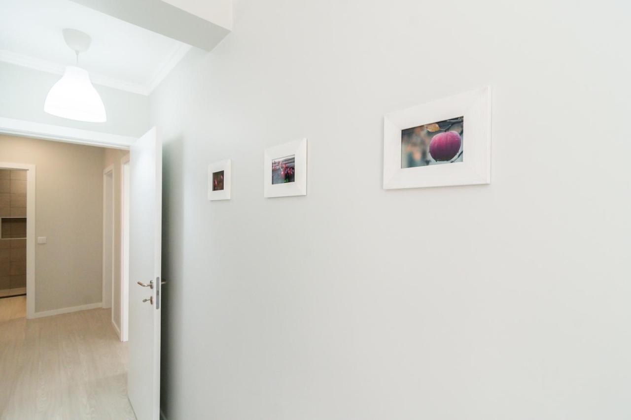 Villa Ponta Do Sol Apartment Екстер'єр фото
